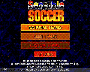 Sensible Soccer Screen Shot 1