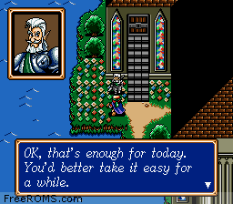 Shining Force Screen Shot 2