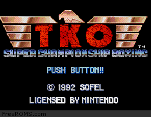 TKO Super Championship Boxing Screen Shot 1